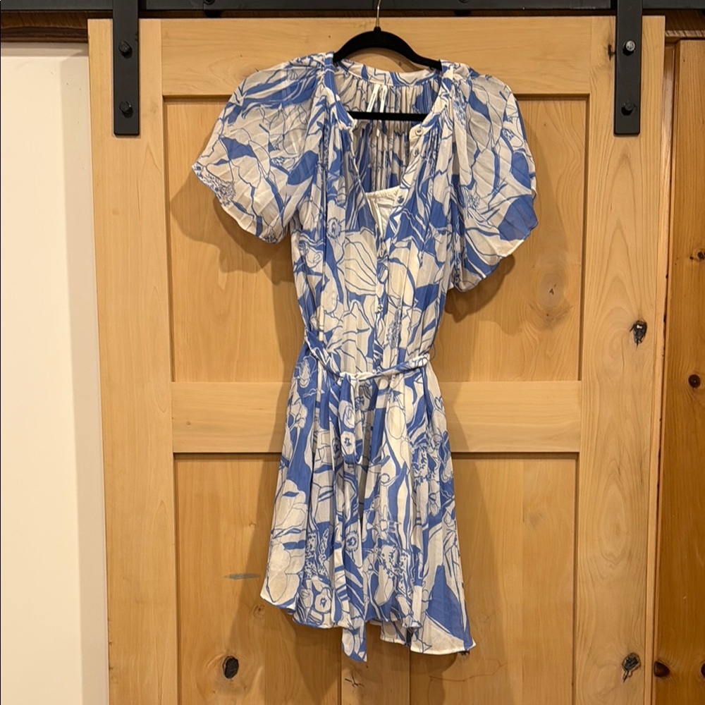 Floral Blue and White Dress